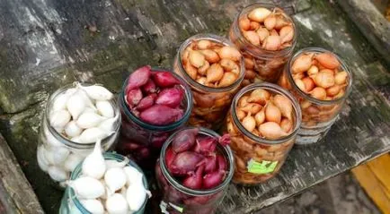 Ceapă aceasta proba