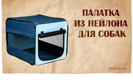 Țarc pentru câini, forma, materiale, arena de îngrijire
