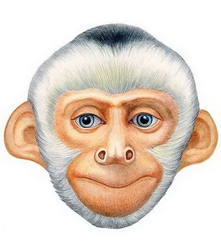 masca Monkey pentru noul an cu propriile lor mâini - meserii pentru vacanța de maimuță (masca mâinile lor proprii model masca de imprimare) Masca maimuței pentru noul an cu propriile lor mâini - meserii pentru vacanța