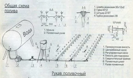 Metoda hidroponice, căpșuni în creștere în interior