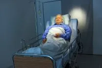 moartea Imaginar că un astfel de somn letargic, viata sanatoasa, sanatate, argumente si fapte