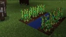 Minions (EP) width='226' height='127'> addons> mcpe - totul pentru a descărca ediția de buzunar Minecraft (drăguț) Minions (EP)> addons> mcpe - descărcare totul pentru ediția de buzunar Minecraft