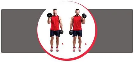 Hammer - Exercițiu pentru biceps