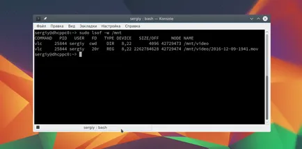 Montarea unității în Linux, losst