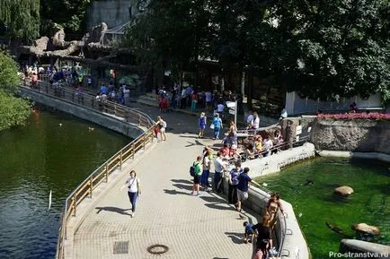 Moscova Zoo pe baricadele din Moscova