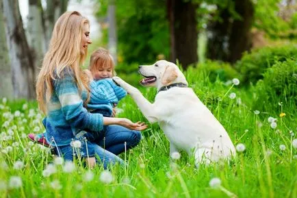 Pot să sărut câinele sau este periculos pentru sănătate (periculoase) Pot să sărut câinele sau este periculos pentru sănătate