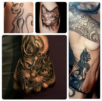 Adevaratul sens al pisicii tatuaj