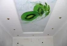 Plafoane întinse cu imagini de desen, fotografii, autocolant de arta cu culori, modele si mostre (plafoane) Plafoane întinse cu imagini de desen, fotografii, autocolant de arta cu culori, modele si mostre