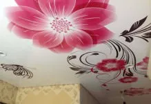 Plafoane întinse cu desen imagini și fotografii, cu modele și autocolante cu flori și artă