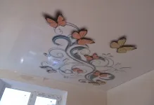 Plafoane întinse cu imagini de desen, fotografii, autocolant de arta cu culori, modele si mostre (poze) Plafoane întinse cu imagini de desen, fotografii, autocolant de arta cu culori, modele si mostre