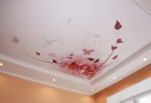 Plafoane întinse cu imagini de desen, fotografii, autocolant de arta cu culori, modele și probe (întindere) Plafoane întinse cu imagini de desen, fotografii, autocolant de arta cu culori, modele si mostre