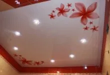 Plafoane întinse cu desen imagini și fotografii, cu modele și autocolante cu flori și artă
