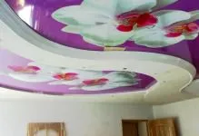Plafoane întinse cu desen imagini și fotografii, cu modele și autocolante cu flori și artă