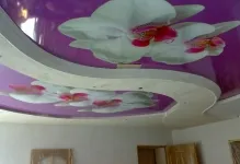 Plafoane întinse cu imagini de desen, fotografii, autocolant de arta cu culori, modele si mostre (artistice) Plafoane întinse cu imagini de desen, fotografii, autocolant de arta cu culori, modele si mostre