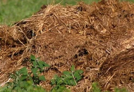 Infuzia dejecțiile de păsări - utilizarea și metodele de preparare