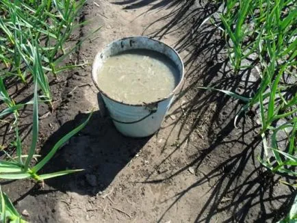 Infuzia dejecțiile de păsări - utilizarea și metodele de preparare