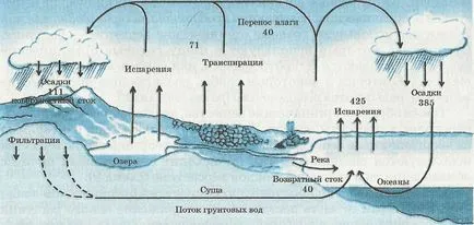 Metabolismul și energia ecosistemelor - un manual electronic, asupra biologiei (produse) Metabolismul și energia ecosistemelor - un manual electronic, asupra biologiei