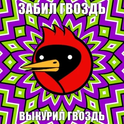 Omsk Crow, câine Netlore sfat, heiko müller, doom aripi, vingedum, Omsk, Omsk Crow, Omsk