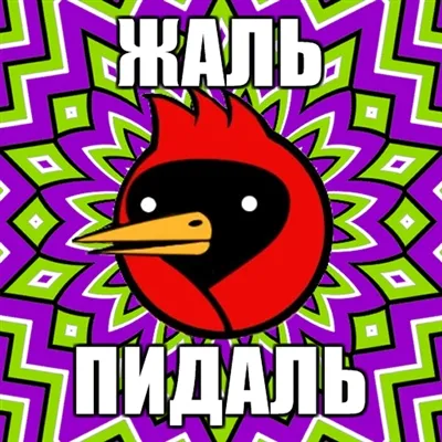 Omsk Crow, câine Netlore sfat, heiko müller, doom aripi, vingedum, Omsk, Omsk Crow, Omsk