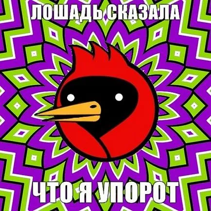 Omsk pasăre, că, dacă