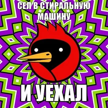 Omsk pasăre, că, dacă