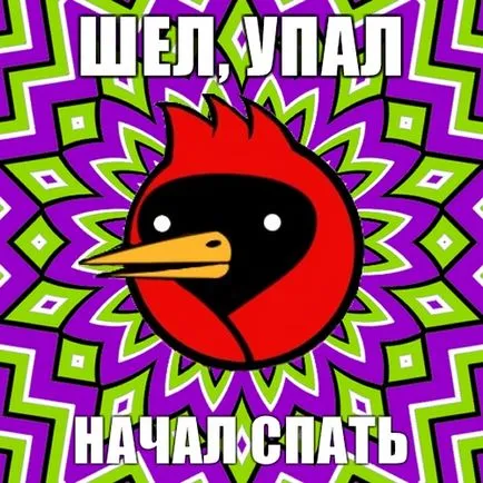 Omsk Crow, câine Netlore sfat, heiko müller, doom aripi, vingedum, Omsk, Omsk Crow, Omsk
