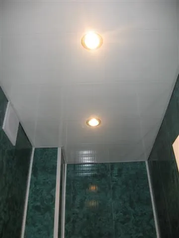 Decorarea panourile de plastic baie - design și fotografie