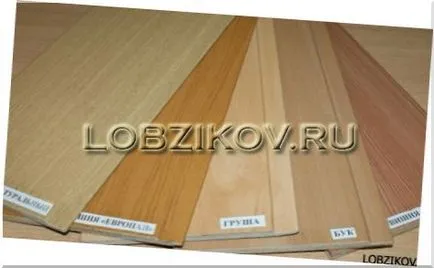 Decorarea peretilor de panouri MDF