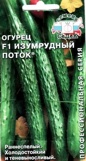 soiuri de castravete partenocarpice - care este, iubesc gradina (soiuri de castravete partenocarpice) dvs. soiuri de castravete partenocarpice - care este, iubesc grădina mea