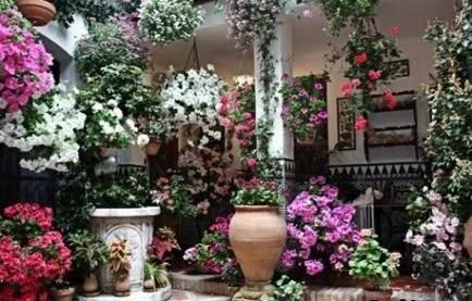 Patio în țară cu propriile lor idei de mâini fotografie de proiectare și îmbunătățire (a construi terase cu propriile lor mâini) Patio în țară cu propriile lor idei mâini fotografie de proiectare si amenajare