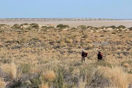 Lacul Eyre în Australia