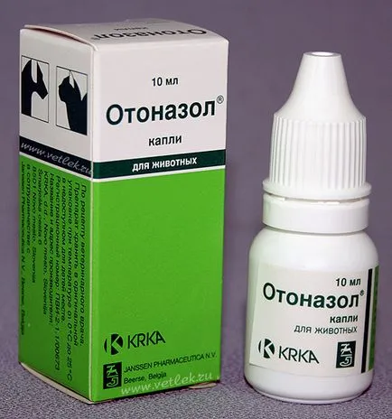 Otodektoz la pisici, care este simptomele și tratamentul (simptomelor) Otodektoz la pisici, care este simptomele și tratamentul