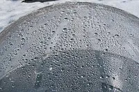 punct de rouă