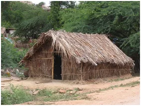 Tipuri de case