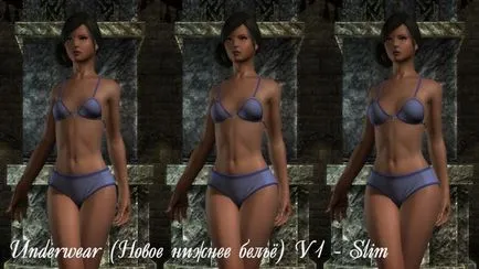 The Elder Scrolls 5 Skyrim cbbe repleyser organisme feminine și entități - fișiere - patch-uri, demo, demo, moda, (cbbe) Elder Scrolls 5 Skyrim cbbe repleyser organisme feminine și entități - fișiere - patch-uri, demo, demo-ul, moda,