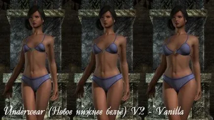 The Elder Scrolls 5 Skyrim cbbe repleyser organisme feminine și entități - fișiere - patch-uri, demo, demo, moda, (Skyrim) Elder Scrolls 5 Skyrim cbbe repleyser organisme feminine și entități - fișiere - patch-uri, demo, demo-ul, moda,