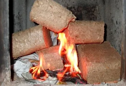 brichete de combustibil cu mâinile lor, de fabricare a combustibilului casnic
