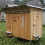 albine conținut Pavilion și descrierea videoclipului