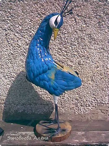 Peacock din sticle de plastic maestru meserii de fabricație de clasă și video (plastic) Peacock din meserii de fabricație sticle de plastic master-class și video