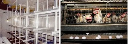 producție prospectiv mici afaceri în garaj (business) producție prospectiv de afaceri mici în garaj