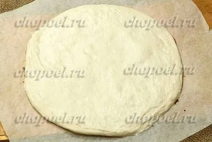 Pizza cu pui și roșii