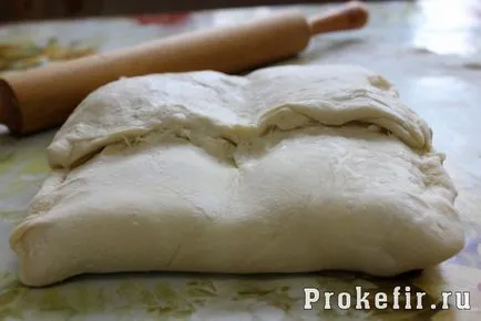 Pizza cu roșii de pui și - rețeta cu o fotografie (fără drojdie)