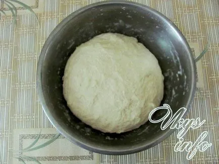 Pizza cu carne de pui si reteta de tomate cu o fotografie