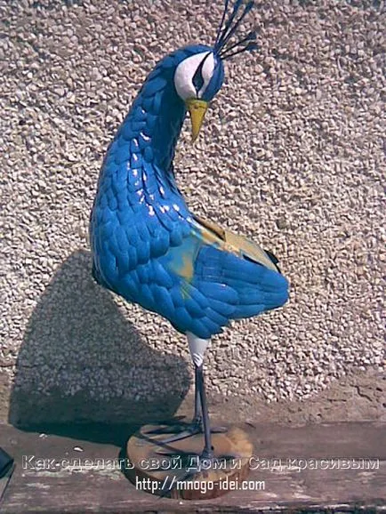 master-class Peacock