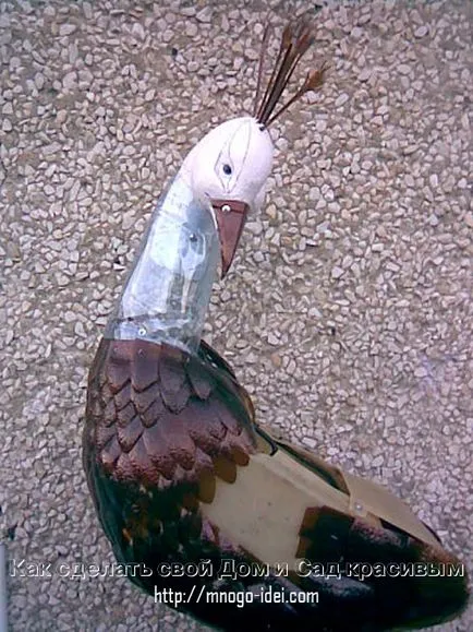 master-class Peacock
