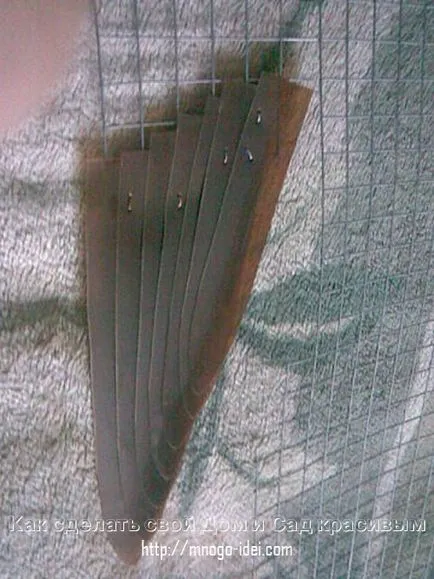 master-class Peacock