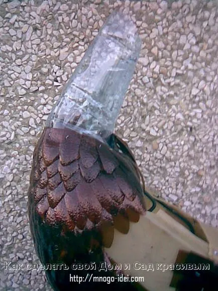 master-class Peacock