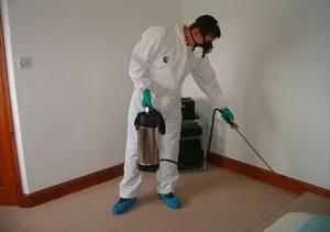 De ce am gândaci în apartament, și metodele moderne de distrugere a acestora (apar) De ce am gândaci în apartament, și metodele moderne de distrugere a acestora