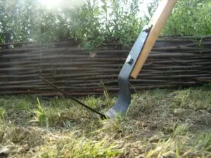 Ploskorez Fokina cum să lucreze un videoclip