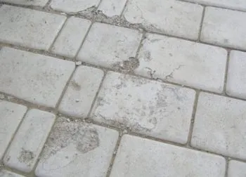 Plastifiant pentru pavele 1